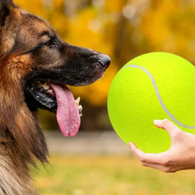 Produktbild von 9.5" Riesen-Tennisball in Übergröße für Kinder Erwachsene