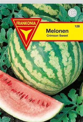 Produktbild von Wassermelone Crimson Sweet