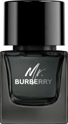 Image de Burberry Mr. Burberry EDP 50 ml M