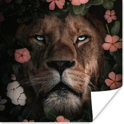 Produktbild von MuchoWow® Poster Blumen - Dschungel - Löwe 75x75 cm - Wand Dekoration