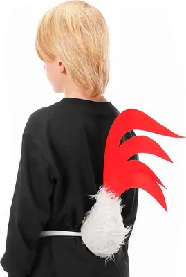Produktbild von Huhn Schwanzfedern
