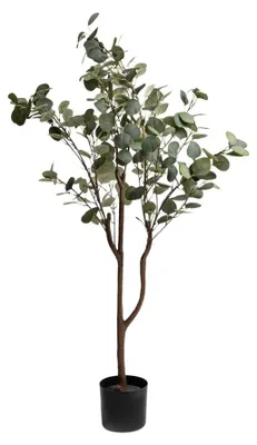 Zdjęcie produktu dla HOMLA Roślina sztuczna VIRIDIS drzewko eukaliptusowe 15x130 cm