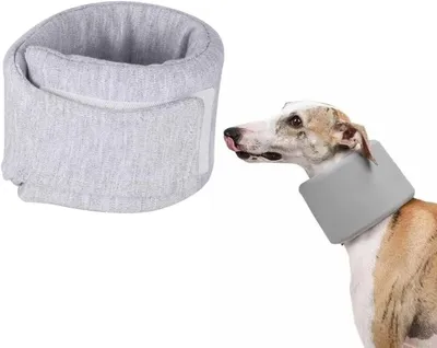 Imagen del producto de Collar para perros, talla M, ajustable, de 32 a 37 cm, transpirable