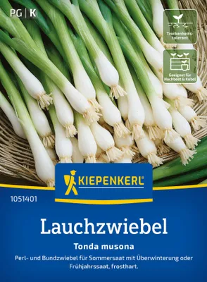 Artikelbild 2 von 'Lauchzwiebel Tonda musona' aus der Kategorie Lauchzwiebelsamen