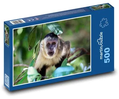 Produktbild von Puzzle 500 Kleiner Affe auf dem Baum - martinpuzzle