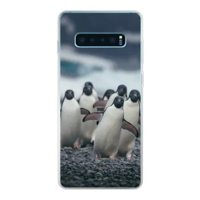 Produktbild von MuchoWow® Handyhülle Schutzhülle Hülle für Samsung Galaxy S10 Lite Adeliepinguine am Strand Silikon Softcase Handy Hülle - Schutz