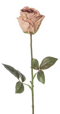 Produktbild von Kunstblume ROSE "TROCKENBLUME". 46cm. 1 Stück. Rosa, ALTROSA