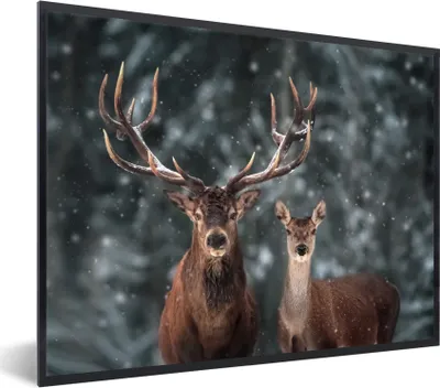 Produktbild von MuchoWow® Gerahmtes Poster Hirsche - Tiere - Winter - Geweih - Schnee - Natur 80x60 cm - Poster mit Schwarzem Bilderrahmen Wandposter Rahmen Foto Bilder - Schwarzem - Mit Gestell