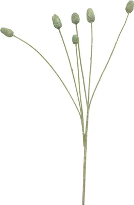 Produktbild von artplants.de Kunstzweig Distel SUANYI, grün, 65 cm - Künstliche Blume