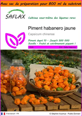 Image de SAFLAX Garden in the bag - Piment habanero jaune - 10 graines - Capsicum