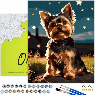 Produktbild von Malen nach Zahlen Erwachsene & Kinder Tiere Hund York Sterne 50x40 - 34 Acrylfarben, Leinwand mit Holzrahmen, 3 Pinseln und Zubehör Oh Art!