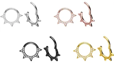 Produktbild von Ohrpiercing, Nasenpiercing, Septum Piercing Chirurgenstahl Segmentring Clicker KRISTALLSPITZEN