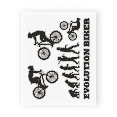 Produktbild von Sticker Aufkleber Evolution Biker Bike 10x12cm