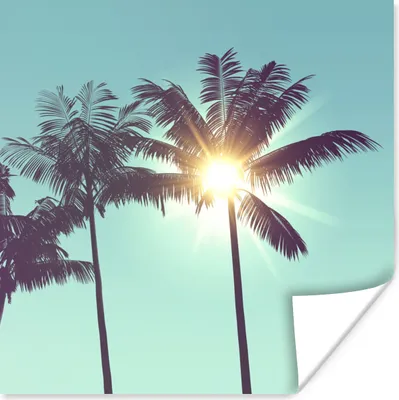 Produktbild von MuchoWow® Poster Palmen - Sommer - Sonne 75x75 cm - Wand Dekoration