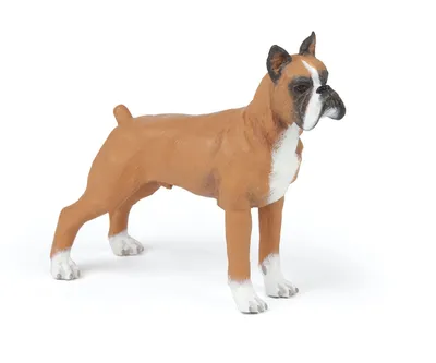 Immagine prodotto di Papo Farm Life Dog Boxer 54019