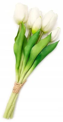 Image de TG Bouquet 5 tulipes artificielles silicone décoratives