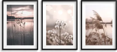 Produktbild von Wandposter Set fürs Wohnzimmer Bilder im schwarzen Rahmen an der Wand See