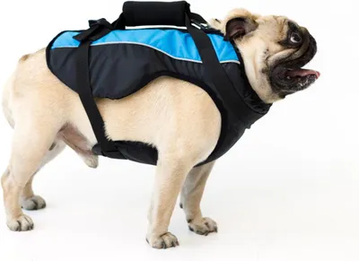 Produktbild von AVA DOGGY Schwimmweste Hund Hundeschwimmweste L Blau