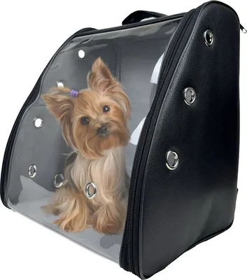 Produktbild von EVE Textile Hunderucksack Katzenrucksack Haustierrucksack 42x35x27 cm Schwarz Hundetasche Rucksack Atmungsaktiv zugelassen von Fluggesellschaften
