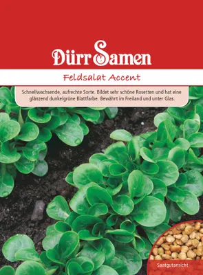 Produktbild von Feldsalat Accent | Feldsalatsamen von Dürr Samen