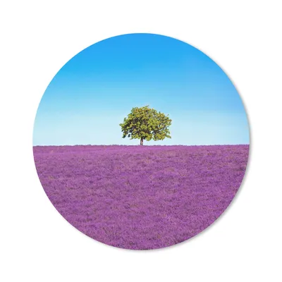 Produktbild von MuchoWow® Mauspad Mousepad Baum - Lila - Himmel - Lavendel 30x30 cm - Mousepads - Maus Mat - Pad - Mausunterlage - Tischunterlage - Schreibtischmatten