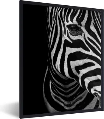 Produktbild von MuchoWow® Gerahmtes Poster Tiere - Zebra - Schwarz - Weiß 60x80 cm - Poster mit Schwarzem Bilderrahmen Wandposter Rahmen Foto Bilder - Premium - Wanddeko Wohnzimmer