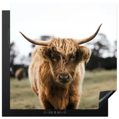 Produktbild von KitchenYeah© Herdabdeckplatte Schottischer Highlander - Kuh - Gras - Tiere - Natur , 78x78cm, Küche Deko, Glaskeramikkochfeld Herdabdeckung, Abdeckplatte fùr Kochfeld