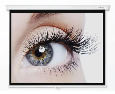 Produktbild von 4:3 reflecta CrystalLine Heimkino Beamer Rolloleinwand 240 x 189 (236x177)cm (87683) / Gehäuselänge 255 cm /  FULL HD / 3D / 4K / HDTV