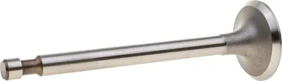 Obrázek produktu pro Sací ventil Honda G200F 8R57-25