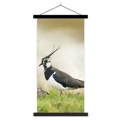 Produktbild von MuchoWow® Textilposter Vogel - Gras - Tiere - Natur - Kiebitz 60x120 cm mit schwarzem Rahmen - Magnete