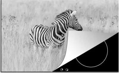 Produktbild von KitchenYeah© Herdabdeckplatte Zebra auf der Wiese , 81x52cm, Küche Deko, Glaskeramikkochfeld Herdabdeckung, Abdeckplatte fùr Kochfeld