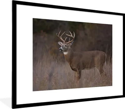 Produktbild von MuchoWow® Gerahmtes Poster Herbst - Hirsche - Gras - Natur - Tiere 80x60 cm - Poster mit Schwarzem Bilderrahmen Wandposter Rahmen Foto Bilder - Schlafzimmer-Dekorationen - Fotoposter