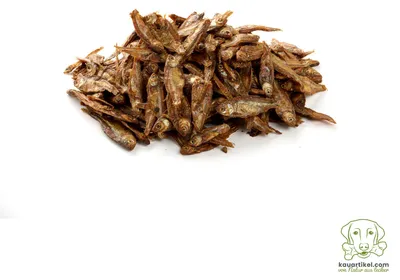 Produktbild von Hering 100g