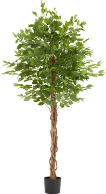 Image de Ficus artificiel FIDA à l'aspect naturel - 180 cm