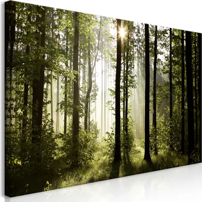 Immagine prodotto di Murale mega XXXL foresta 250x125 cm pezzo unico formato XXL stampa d'arte per auto-assemblaggio tela immagini moderne immagini fai da te decorazione murale casa decorazione foresta paesaggio natura panorama c-B-0288-ak-e