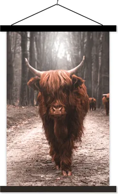 Produktbild von MuchoWow® Textilposter Schottisches Hochlandrind - Tier - Nahaufnahme 60x90 cm mit schwarzem Rahmen - Poster Wohnzimmer