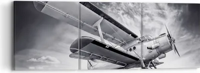 Produktbild von Bild auf Leinwand - Leinwandbild - 3 Teile - Flugzeug An-2 Schwarzweiß - 90x30cm - Wand Bild - Wanddeko - Wandbilder - Leinwanddruck - Bilder - Wanddekoration - Leinwand bilder - CA90x30-4363