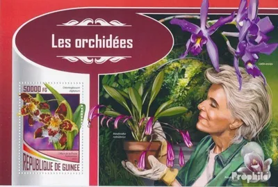 Produktbild von Briefmarken Guinea 2017 Mi Block 2827 (kompl. Ausgabe) postfrisch Orchideen
