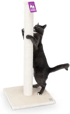 Obrázok produktu pre Mačacie škrabadlo 90 cm, sisalový kmeň, plyš, béžová, pre mačky