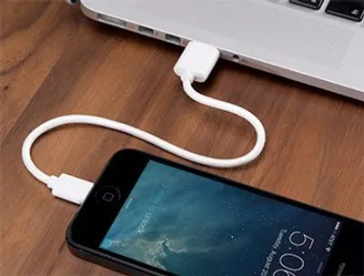 Immagine prodotto di Cavo da micro USB a USB di Bluelounge