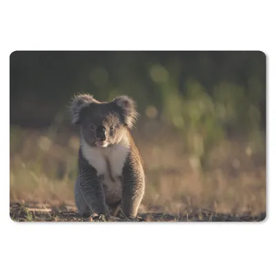 Produktbild von MuchoWow® Mauspad Mousepad Koala - Sonne - Tier - Kinder - Jungen - Mädchen 27x18 cm - Mousepads - Maus Mat - Pad - Mausunterlage - Büroartikel - Desk Matten