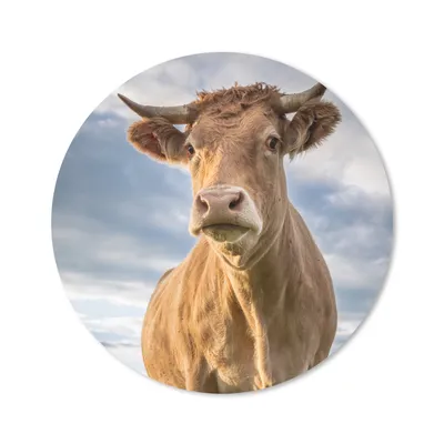 Produktbild von MuchoWow® Mauspad Mousepad Kuh - Braun - Natur 30x30 cm - Mousepads - Maus Mat - Pad - Mausunterlage - Tischunterlage - Schreibtischmatten