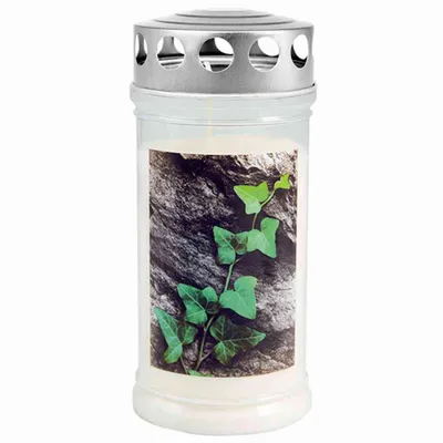 Produktbild von Jeka Gedenkkerze "Efeu auf Stein" 170 x 75 mm 4 Tage