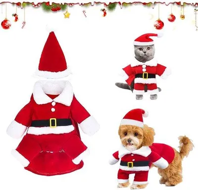 Productafbeelding van Kerstman Kostuum voor Honden - Maat M