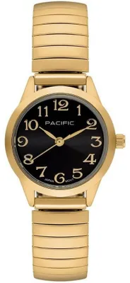 Image de Pacific Homme Marron Pacific-PC00997