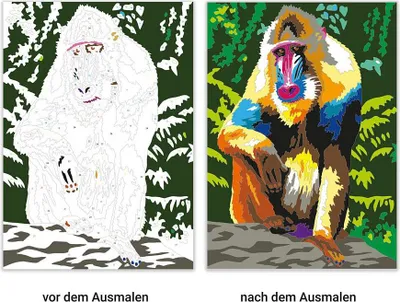 Obrázek produktu pro Malen nach Zahlen - Wilde Tiere