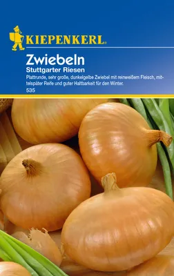 Produktbild von Kiepenkerl Zwiebelsamen Stuttgarter Riesen