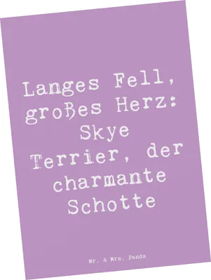 Produktbild von Mr. & Mrs. Panda Postkarte Spruch Skye Terrier - Lavendeltraum - Geschenk, Fotokarte, Langes Fell, treu, Grußkarte, weiches, Hunde, Postkarten, Hunderassen, Ansichtskarte