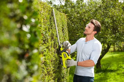 Productafbeelding van Accuheggenschaar 'RHT184520' van Ryobi, 18V, 2,0Ah - bladlengte 45 cm