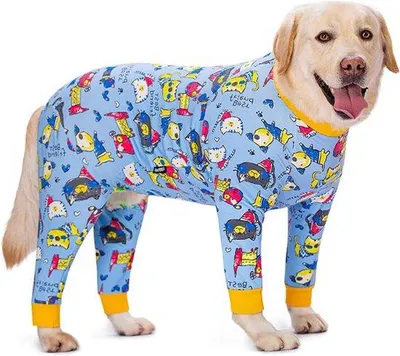 Produktbild von Hundepyjama für mittelgroße und große Hunde, Gewichtsbeschermung, blau, XL-Größe